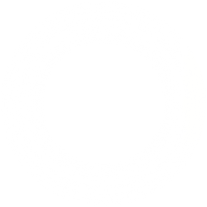 white faded circle